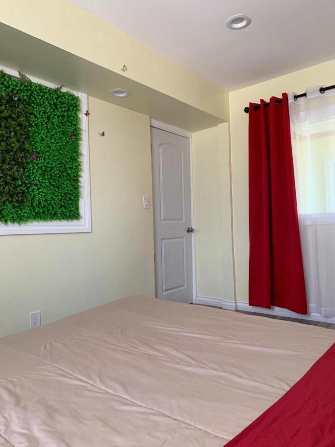 Lax Guest House Inglewood Eksteriør bilde